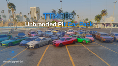 Fivem | Pit Car Pack TTMods