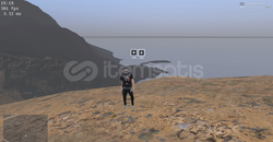 Fivem Tweak & FPS Optimizasyonu