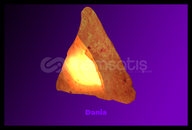 [Flaming Hot Chip Head] Roblox Key