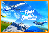 Flight Simulator + Garanti (Online)