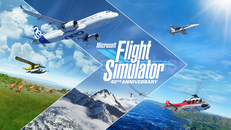 FLİGHT SİMULATOR | STEAM