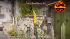 ★ Flip Knife | Tiger Tooth (Factory New)