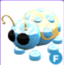 Fly Diamond Ladybug ve Golden Albatross Fly Diamond Ladybug ve Golden Albatross