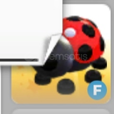Fly Ladybug