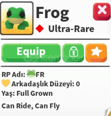 Fly ride frog