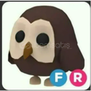 FLY RIDE OWL SİTENİN EN UCUZU