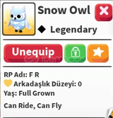 Fly ride snow owl