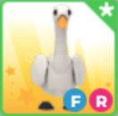 FLY RIDE SWAN UYGUN!