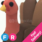 FLY RİDE TURKEY