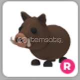 FLY RİDE WİLD BOAR
