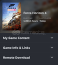 Forza Horizon 4 Steam Hesap Random