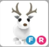 FR Arctic Reindeer 