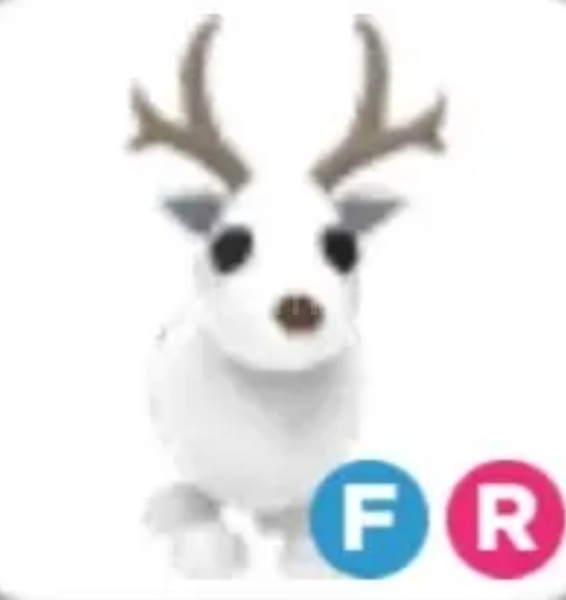 FR Arctic Reindeer FR Arctic Reindeer
