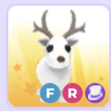 Fr arctic reindeer