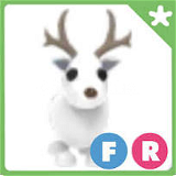 FR Arctic Reindeer