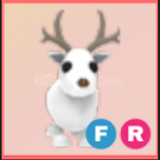 FR Arctic Reindeer