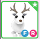fr arctic reindeer
