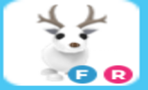 FR Arctic Reindeer