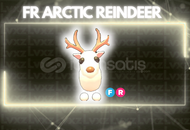 FR Arctic Reindeer En Uygunu