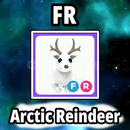 Fr Arctic Reindeer Ve R Puptune Fr Arctic Reindeer Ve R Puptune