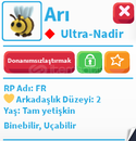 FR arı uygun fiyat FR arı uygun fiyat