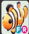 FR Clownfish ⭐ Adopt Me