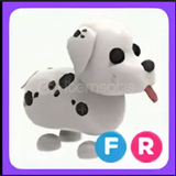 FR DALMATIAN/ADOPT ME EN UCUZU