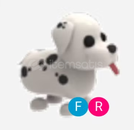 FR Dalmatian (en ucuz) ADOPT ME