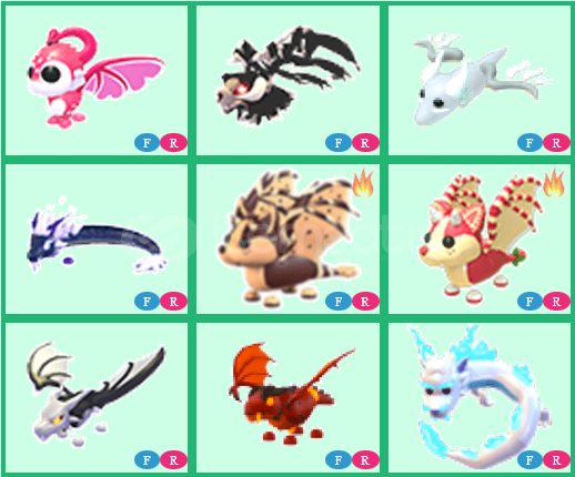 FR DRAGON PET(açıklamayı okuyun) FR DRAGON PET(açıklamayı okuyun)