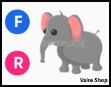 FR Elephant