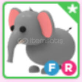 FR ELEPHANT