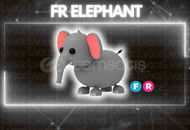 FR Elephant En Uygunu