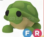 FR FULL GROWN TURTLE PIYASANIN EN UYGUNU FR FULL GROWN TURTLE PIYASANIN EN UYGUNU