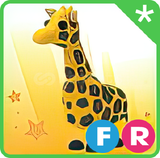 FR Giraffe