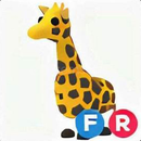 FR Giraffe