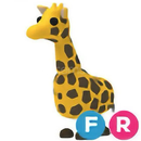 FR giraffe FR giraffe