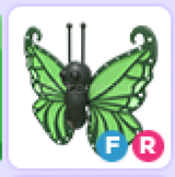 FR Green Butterfly 