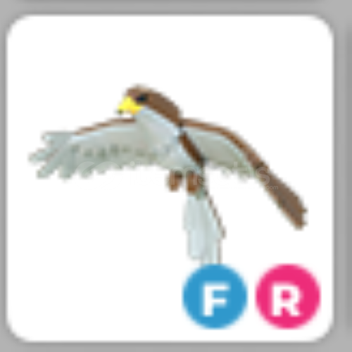 fr hawk fr hawk