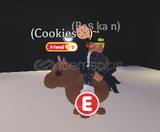 R HORSE ADOPT ME UYGUN