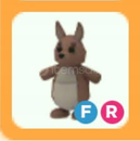 Fr kangaroo(EN UYGUNU)(FULL GROWN)