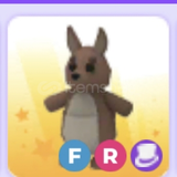 Fr kangaroo
