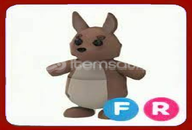FR Kangaroo Adopt Me