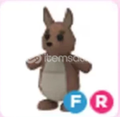 ⭐Fr Kangaroo En ucuz (tane fiyatı)⭐