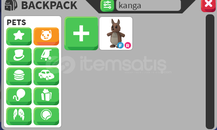 FR KANGAROO EN UYGUNU ADOPT ME