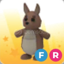 •FR Kangaroo • hızlı teslimat • ucuz fiyat •