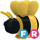 FR King Bee