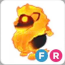 FR R LAVA PET! (açılamayı okuyun)
