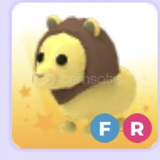 Fr lion