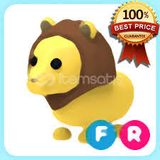 Fr lion 