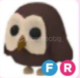 FR Owl